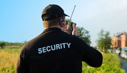 security services Hamilton